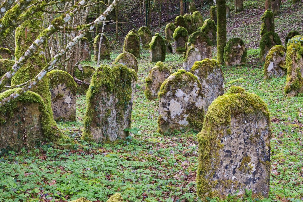 Shaggy headstones awaiting a severe cleaning and treatment